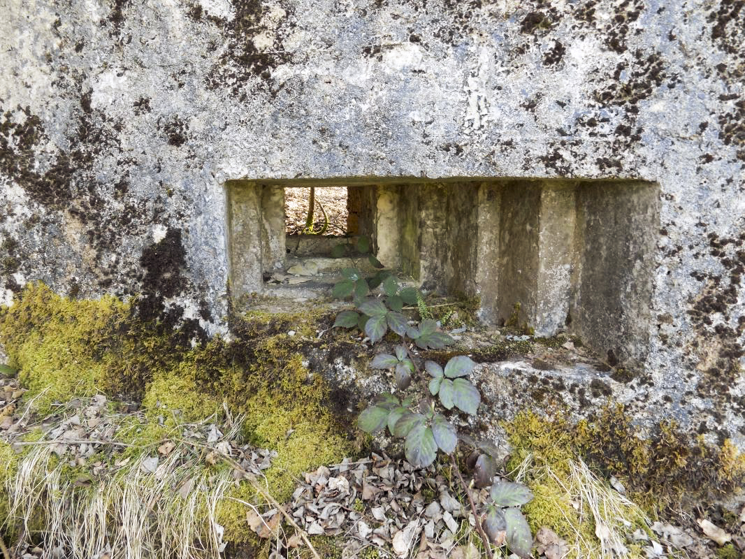 Ligne Maginot - BA89 - MOULIN LACAILLE - (Blockhaus pour canon) - Face frontale, créneau Obs/FM - R Tucker