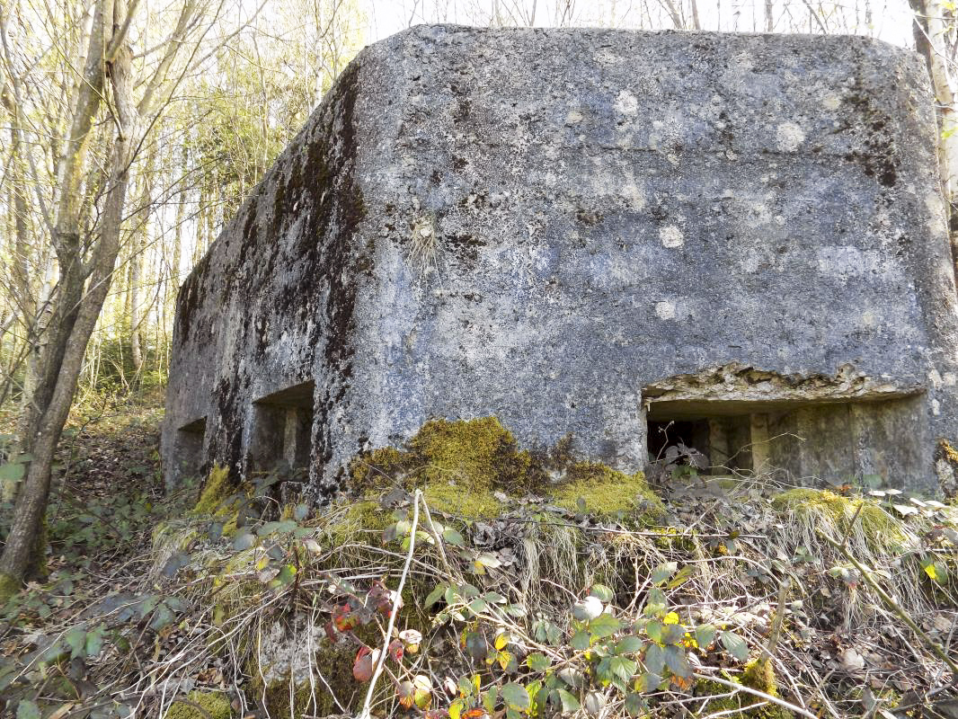 Ligne Maginot - BA89 - MOULIN LACAILLE - (Blockhaus pour canon) - Faces frontale et gauche - R Tucker