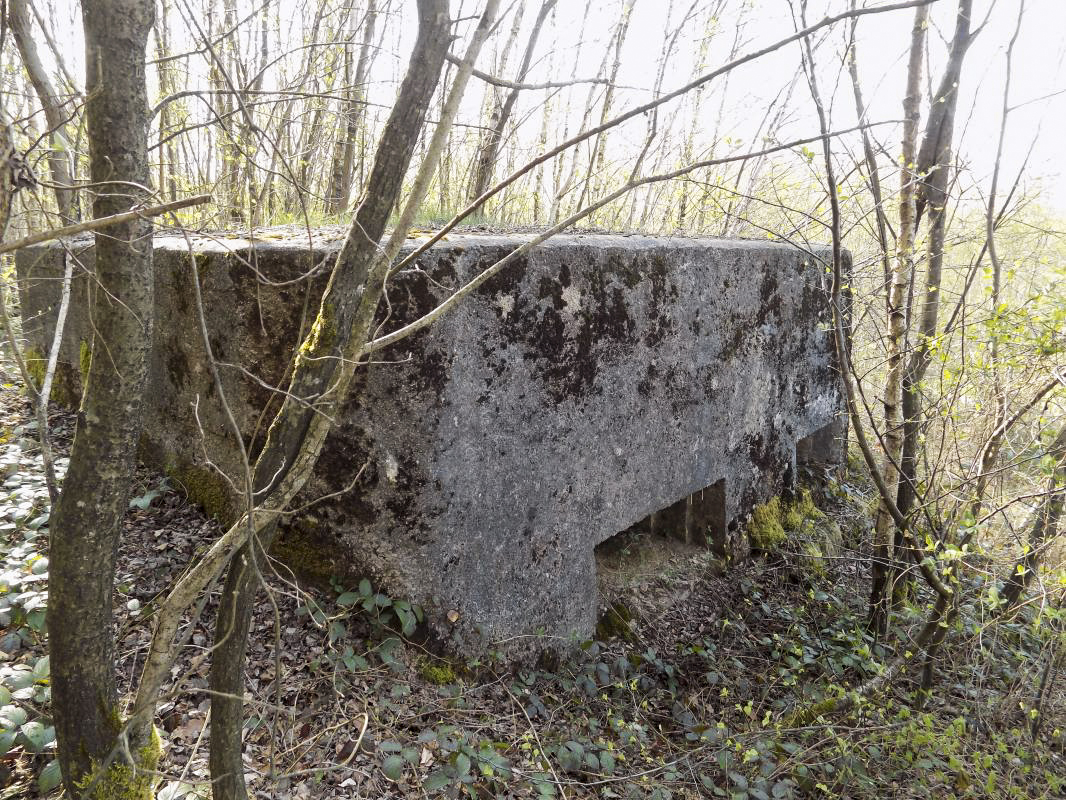 Ligne Maginot - BA89 - MOULIN LACAILLE - (Blockhaus pour canon) - Face frontale - R Tucker