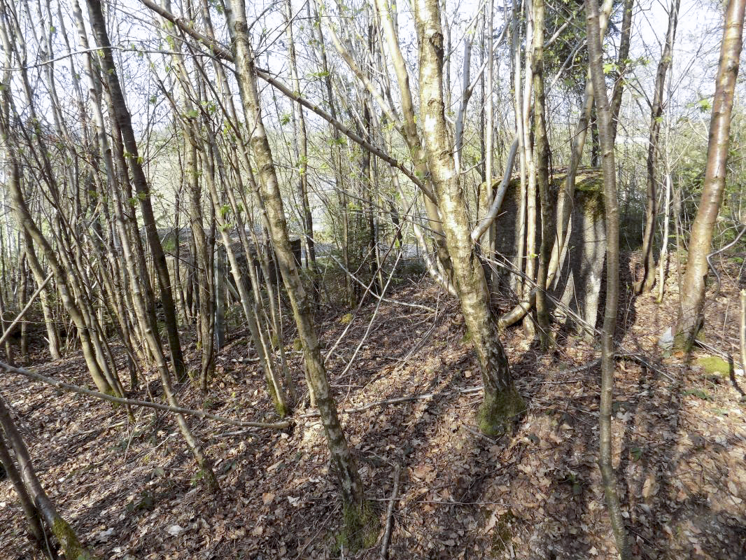 Ligne Maginot - BA89 - MOULIN LACAILLE - (Blockhaus pour canon) - Le blockhaus Ba89 en bas à gauche et 'le mur' à droite - R Tucker