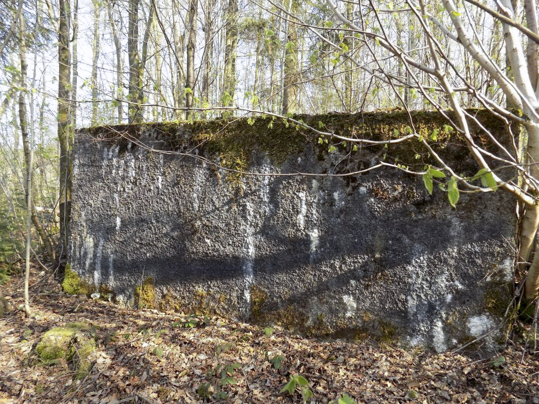 Ligne Maginot - BA89 - MOULIN LACAILLE - (Blockhaus pour canon) - 'Le mur', côté face au blockhaus - R Tucker