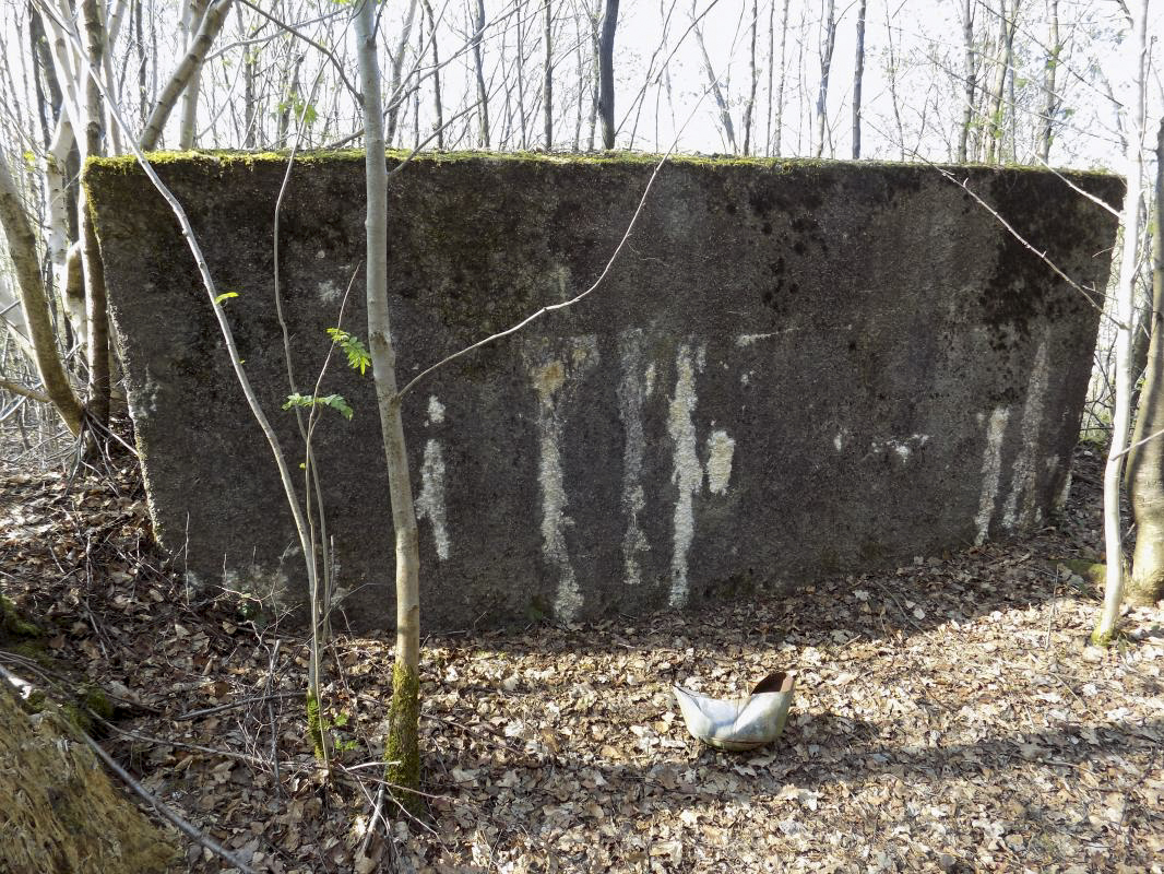 Ligne Maginot - BA89 - MOULIN LACAILLE - (Blockhaus pour canon) - 'Le mur', face opposé du blockhaus - R Tucker