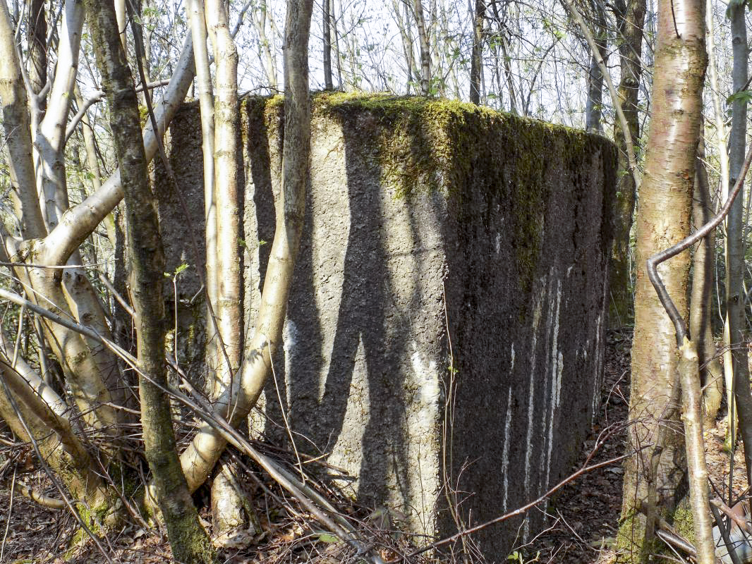 Ligne Maginot - BA89 - MOULIN LACAILLE - (Blockhaus pour canon) - 'Le mur' - R Tucker