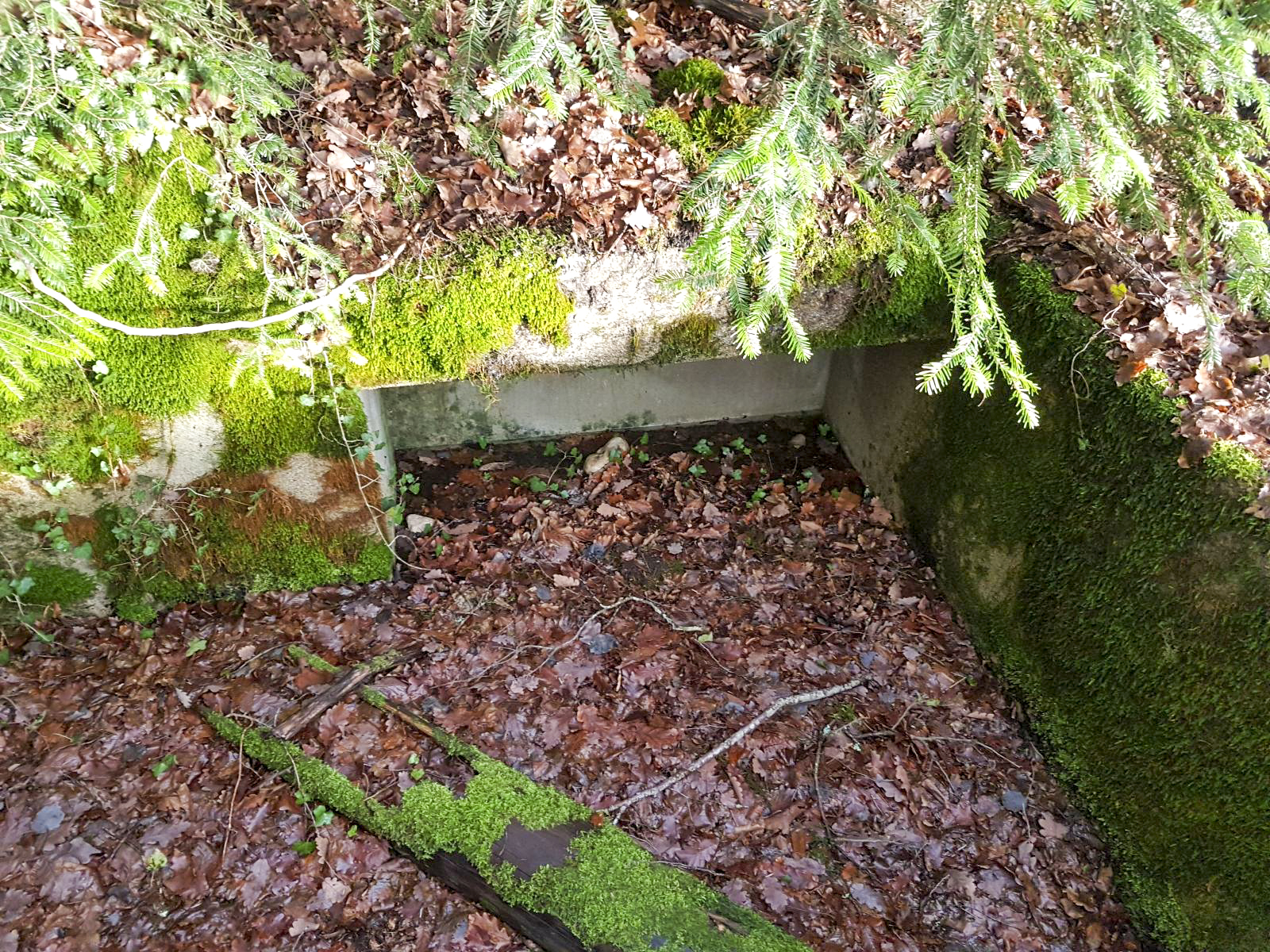 Ligne Maginot - 201 - FONTAINE DE LA PLANCHETTE - (Cuve pour canon) -  - Inconnu