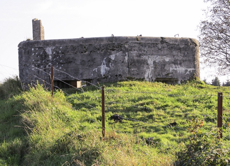 Ligne Maginot - BA91 - LE BOCHET NORD - (Blockhaus pour canon) -  - François MATHOT