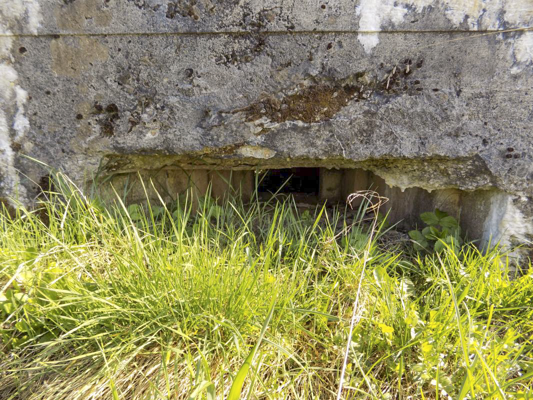 Ligne Maginot - BA91 - LE BOCHET NORD - (Blockhaus pour canon) - Face frontale, créneau gauche, Hotchkiss - R Tucker
