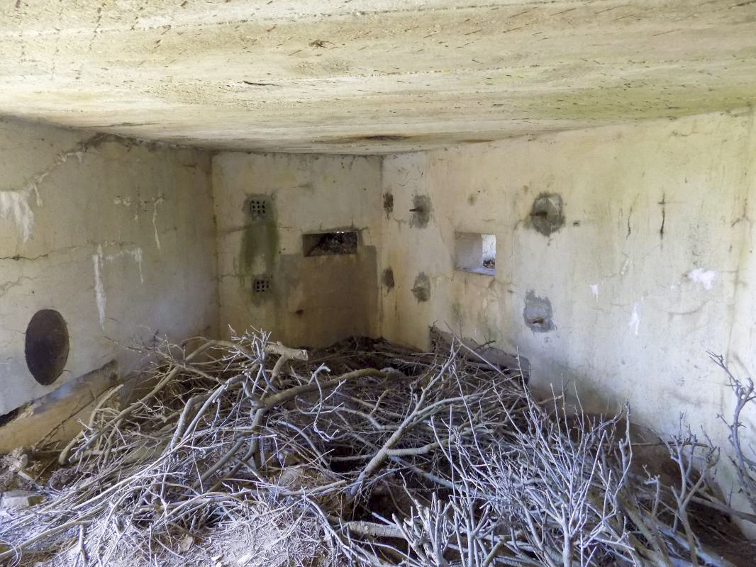 Ligne Maginot - BA91 - LE BOCHET NORD - (Blockhaus pour canon) - Face gauche créneau Obs/FM et face frontale créneau Hotchkiss - R Tucker