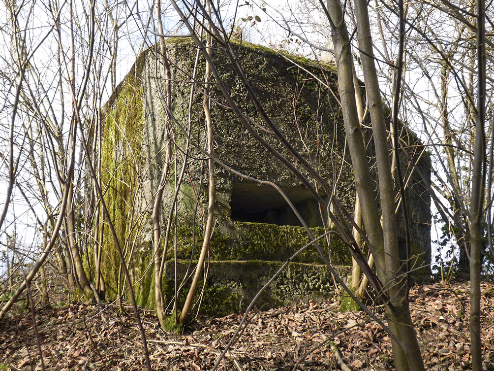 Ligne Maginot - BA93 - LE COUVENT SUD - (Blockhaus pour arme infanterie) -  - JMBrams