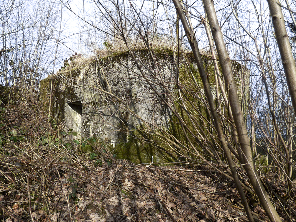 Ligne Maginot - BA93 - LE COUVENT SUD - (Blockhaus pour arme infanterie) -  - JMBrams