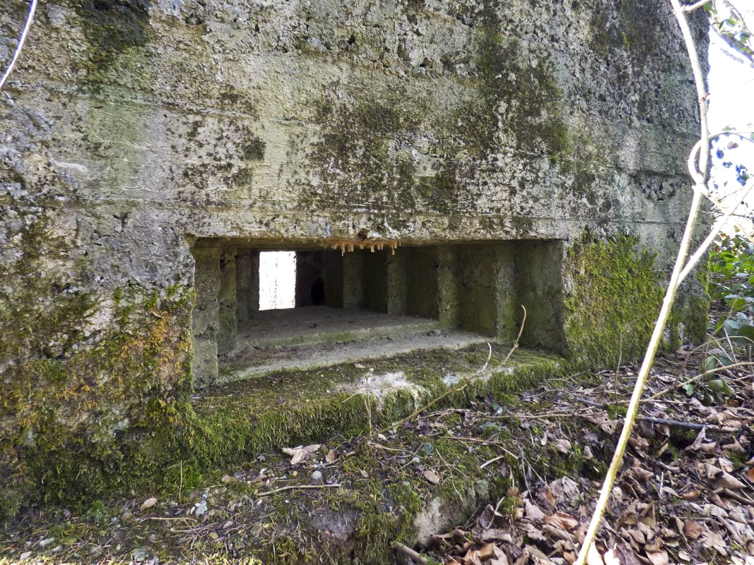 Ligne Maginot - BA93 - LE COUVENT SUD - (Blockhaus pour arme infanterie) -  - JMBrams