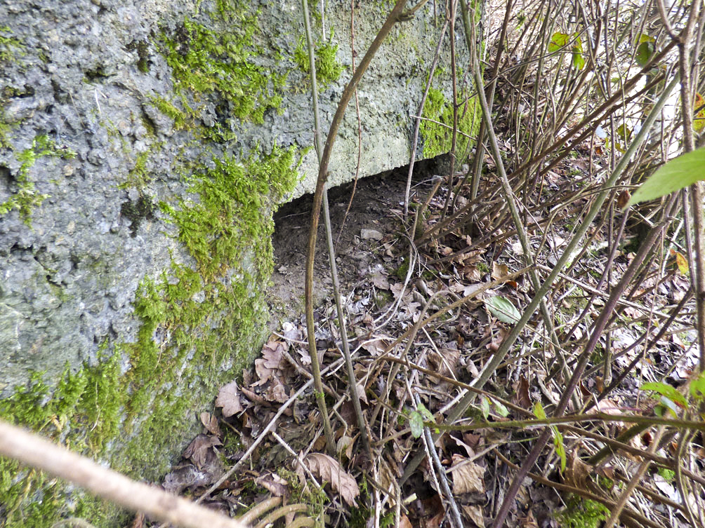 Ligne Maginot - BA93 - LE COUVENT SUD - (Blockhaus pour arme infanterie) -  - JMBrams