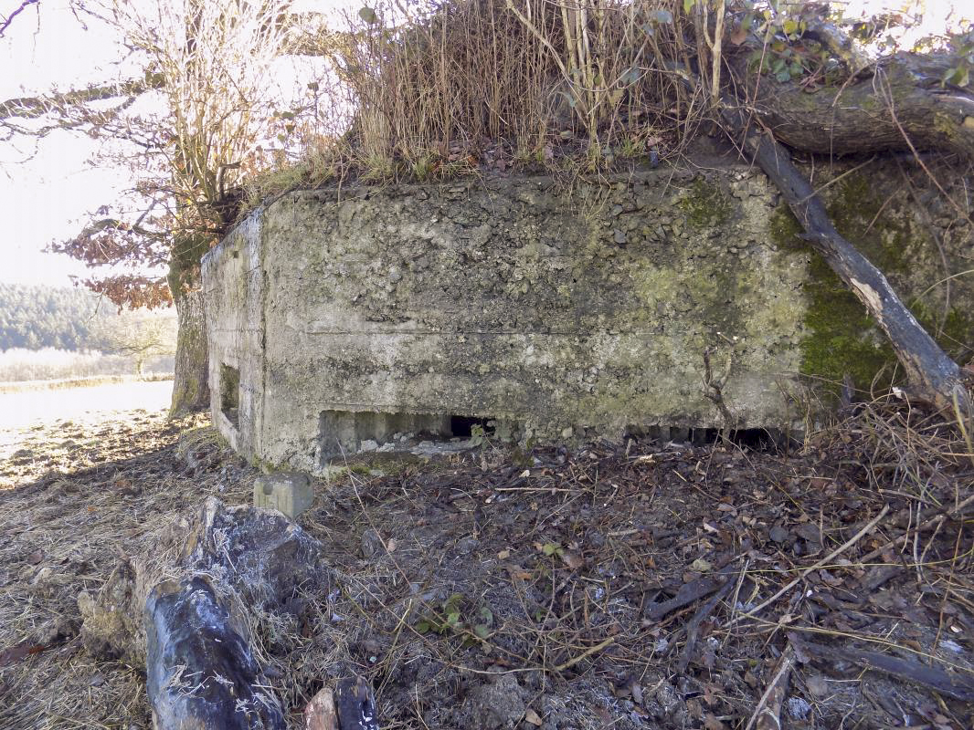 Ligne Maginot - BA94 - LE COUVENT - (Blockhaus pour canon) - Faces gauche, deux créneaux Hotchkiss - R Tucker