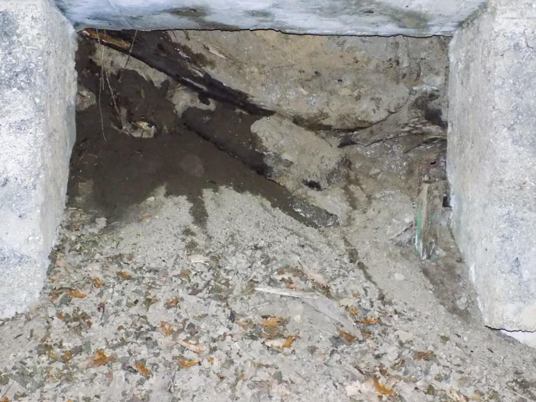 Ligne Maginot - BA94 - LE COUVENT - (Blockhaus pour canon) - L'entrée AC - R Tucker
