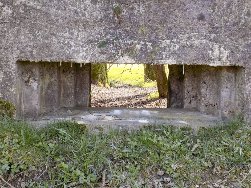 Ligne Maginot - BA95 - BOUT D'EN HAUT SUD - (Blockhaus pour canon) - Face frontale, créneau AC - R Tucker