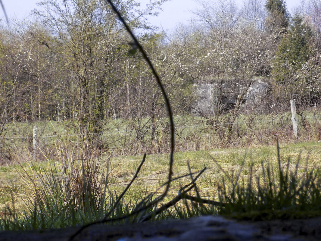 Ligne Maginot - BA95 - BOUT D'EN HAUT SUD - (Blockhaus pour canon) - Vue frontale du créneau AC, vers A56 - R Tucker