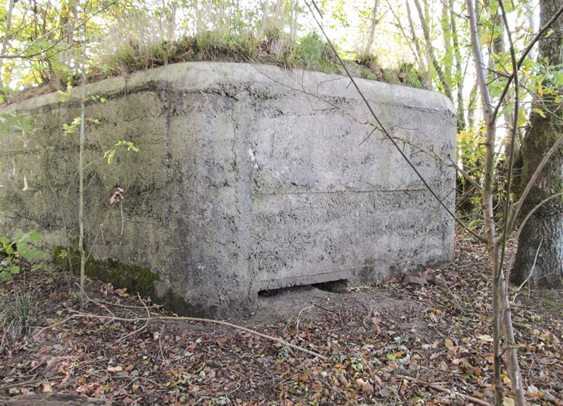 Ligne Maginot - BA96 - AVANCÉE DE ROCROI SUD-OUEST - (Blockhaus pour arme infanterie) -  - François MATHOT