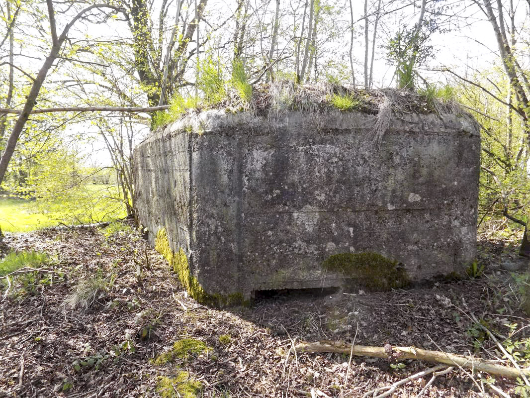 Ligne Maginot - BA96 - AVANCÉE DE ROCROI SUD-OUEST - (Blockhaus pour arme infanterie) - Faces gauche, créneau Hotchkiss - R Tucker
