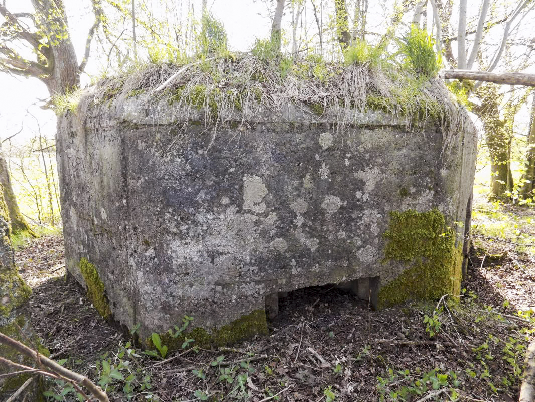 Ligne Maginot - BA96 - AVANCÉE DE ROCROI SUD-OUEST - (Blockhaus pour arme infanterie) - Faces arrière gauche, créneau FM - R Tucker