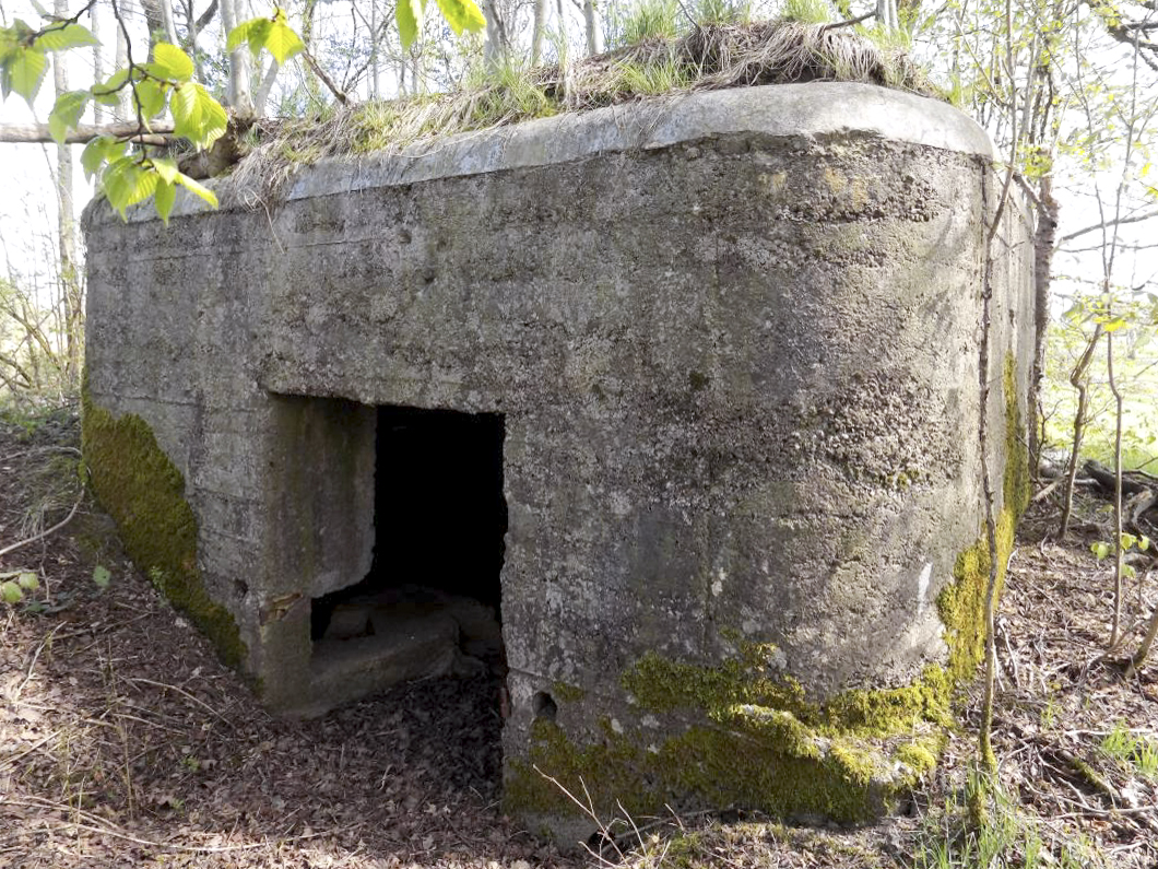 Ligne Maginot - BA96 - AVANCÉE DE ROCROI SUD-OUEST - (Blockhaus pour arme infanterie) - L'arrière - R Tucker