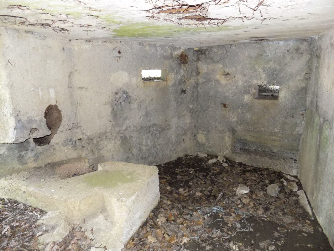 Ligne Maginot - BA96 - AVANCÉE DE ROCROI SUD-OUEST - (Blockhaus pour arme infanterie) - Faces arrière gauche (créneau FM) et gauche (créneau Hotchkiss) - R Tucker
