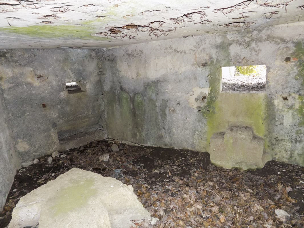 Ligne Maginot - BA96 - AVANCÉE DE ROCROI SUD-OUEST - (Blockhaus pour arme infanterie) - Faces gauche (créneau Hotchkiss) et frontale (créneau AC) - R Tucker