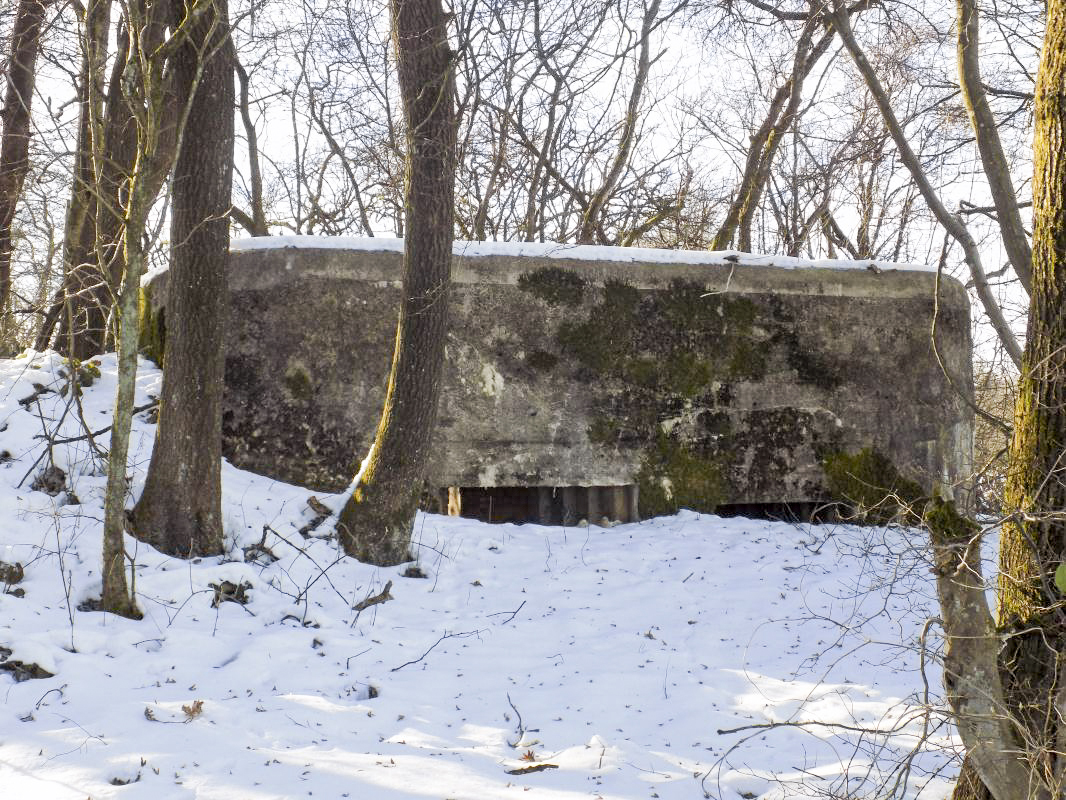 Ligne Maginot - BA97 - AVANCÉE DE ROCROI NORD-OUEST - (Blockhaus pour canon) - Face frontale - R Tucker