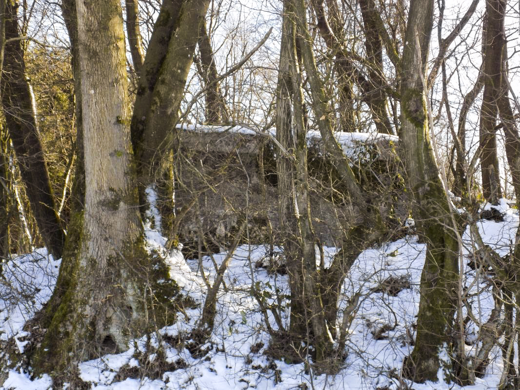 Ligne Maginot - BA97 - AVANCÉE DE ROCROI NORD-OUEST - (Blockhaus pour canon) - Face gauche - R Tucker