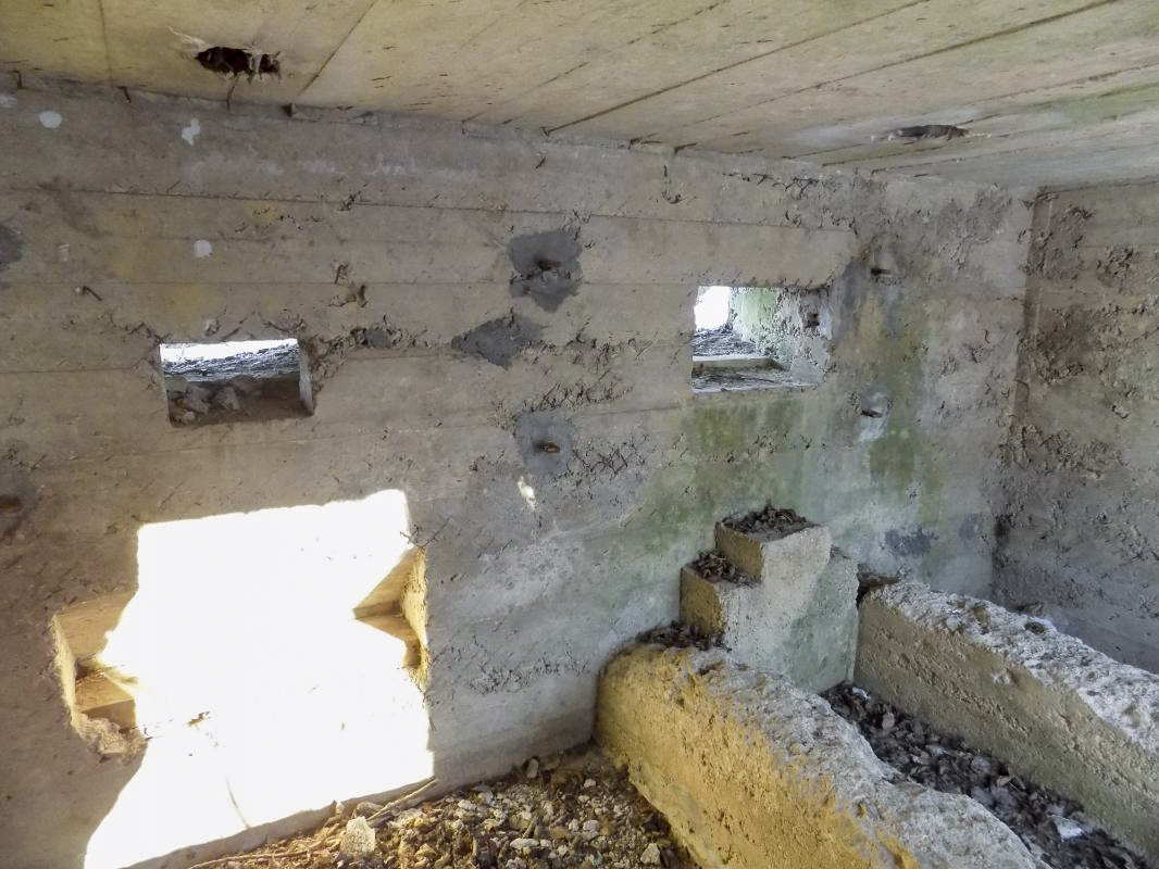 Ligne Maginot - BA97 - AVANCÉE DE ROCROI NORD-OUEST - (Blockhaus pour canon) - Créneaux frontaux Hotchkiss et AC - R Tucker