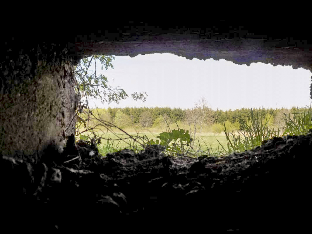 Ligne Maginot - BA98 - AVANCÉE DE ROCROI OUEST - (Blockhaus pour canon) - Vue du créneau FM vers le nord - R Tucker