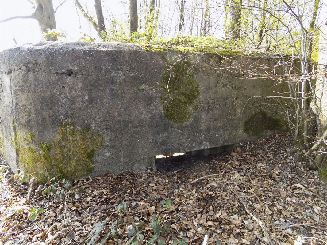 Ligne Maginot - BA99 - LES SAPINS - (Blockhaus pour canon) - Face frontale - R Tucker