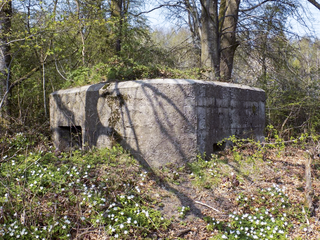 Ligne Maginot - BA99 - LES SAPINS - (Blockhaus pour canon) - L'arrière et face droite avec créneau Obs/FM - R Tucker