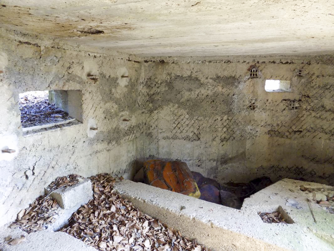 Ligne Maginot - BA99 - LES SAPINS - (Blockhaus pour canon) - Créneaux AC et Obs/FM face droite - R Tucker