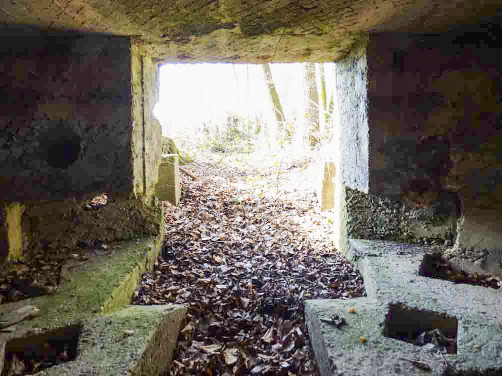 Ligne Maginot - BA99 - LES SAPINS - (Blockhaus pour canon) -  - JMBrams