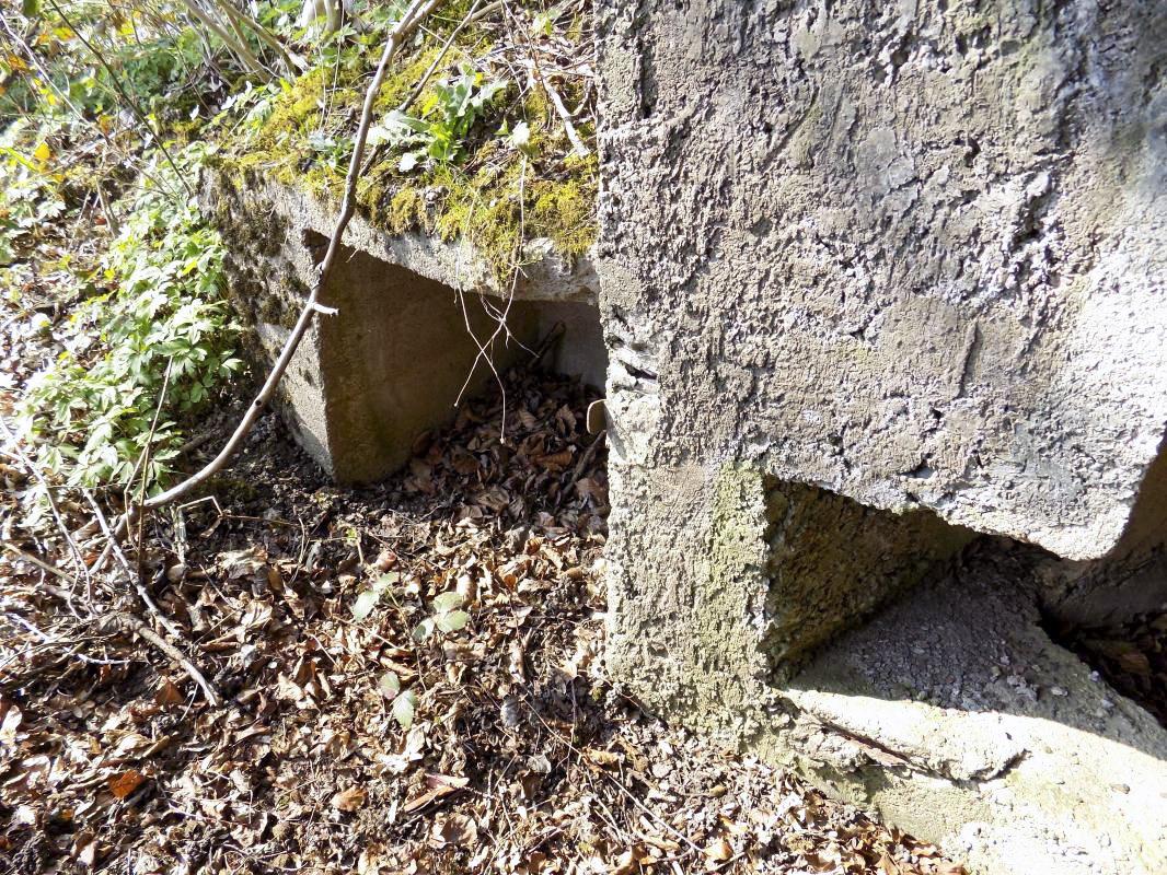 Ligne Maginot - BA99 - LES SAPINS - (Blockhaus pour canon) - Stockage munitions extérieur gauche - R Tucker