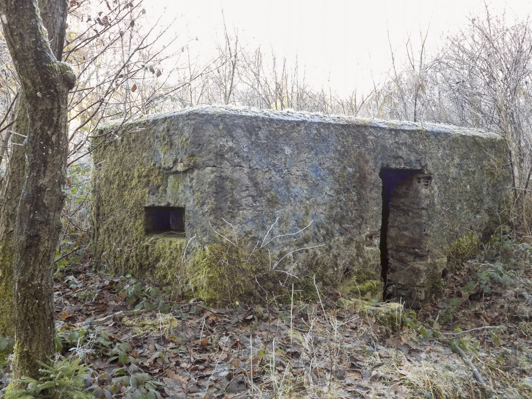 Ligne Maginot - BA100 - MOULIN NOIZET - (Blockhaus pour arme infanterie) - Faces gauche et l'arrière - R Tucker