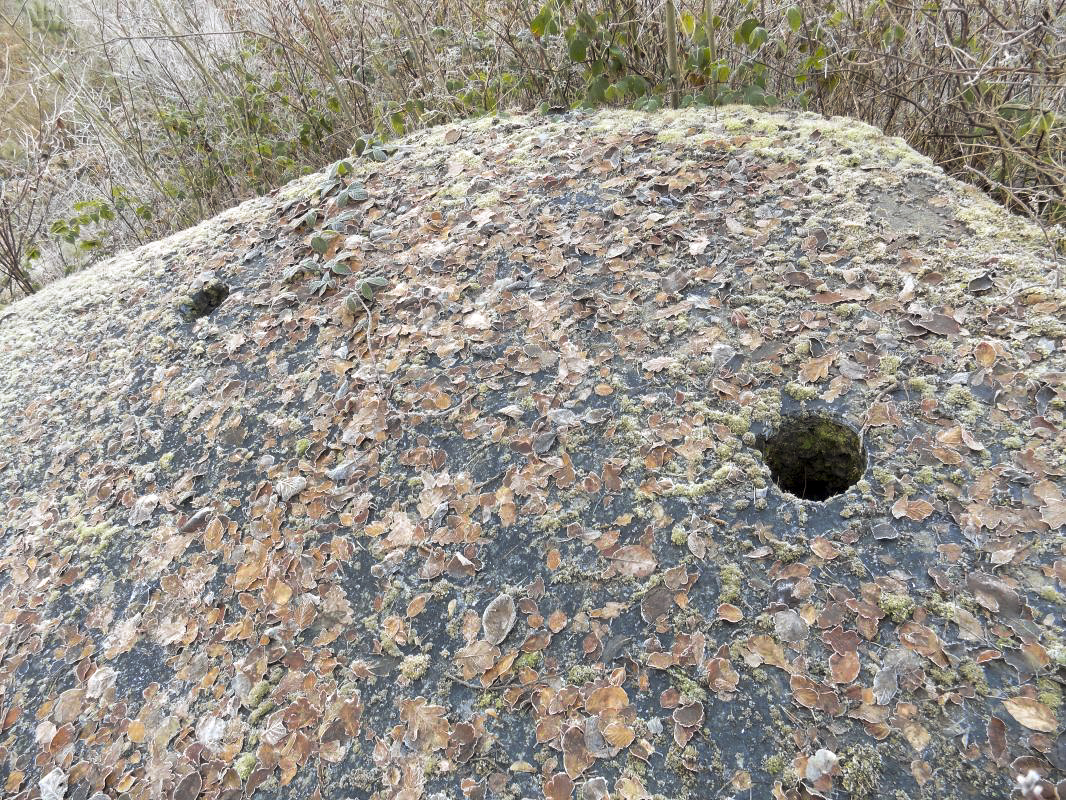 Ligne Maginot - BA100 - MOULIN NOIZET - (Blockhaus pour arme infanterie) - Les cheminées - R Tucker