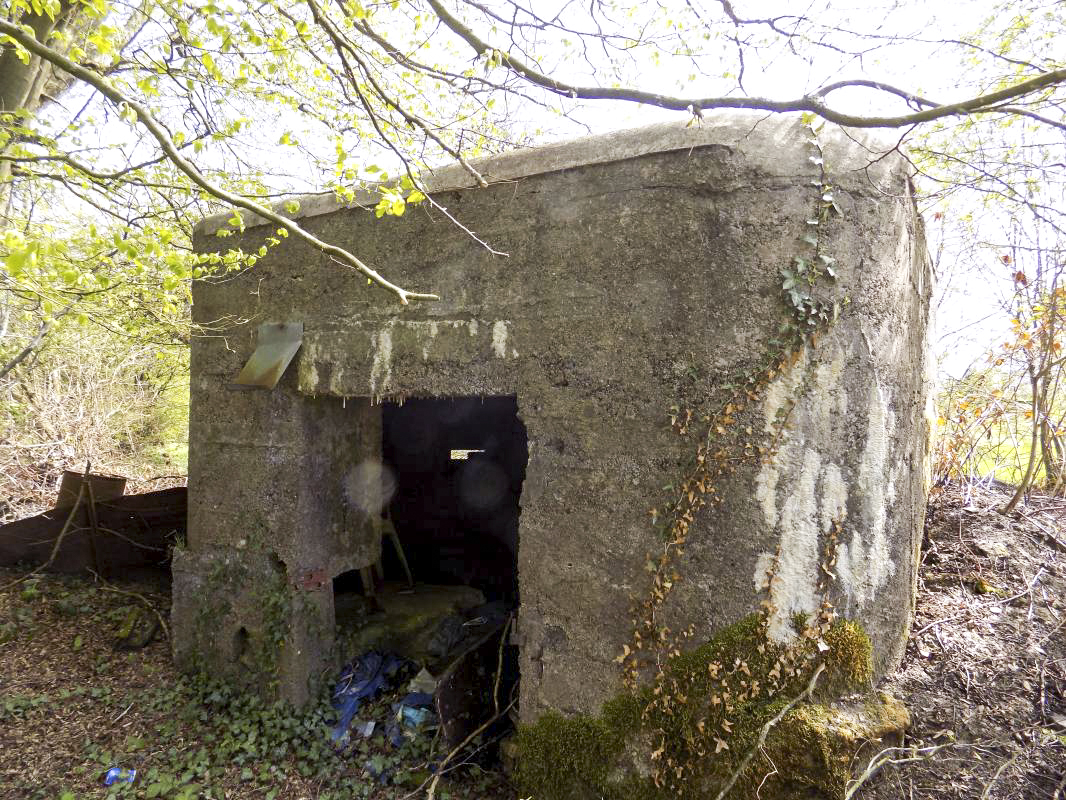 Ligne Maginot - BA101 - AVANCÉE DE ROCROI SUD - (Blockhaus pour canon) - L'arrière - R Tucker