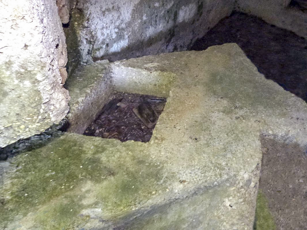 Ligne Maginot - BA101 - AVANCÉE DE ROCROI SUD - (Blockhaus pour canon) -  - JMBrams