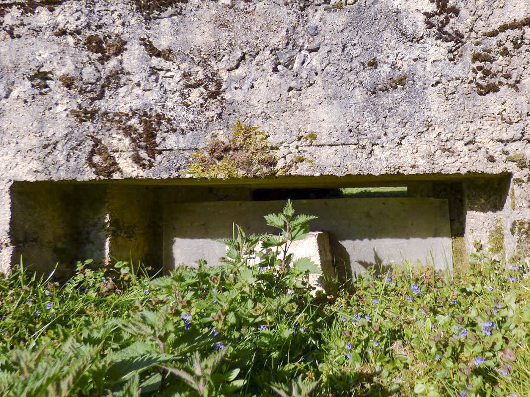 Ligne Maginot - BA102 - HIRAUMONT NORD-EST - (Blockhaus pour canon) -  - JMBrams
