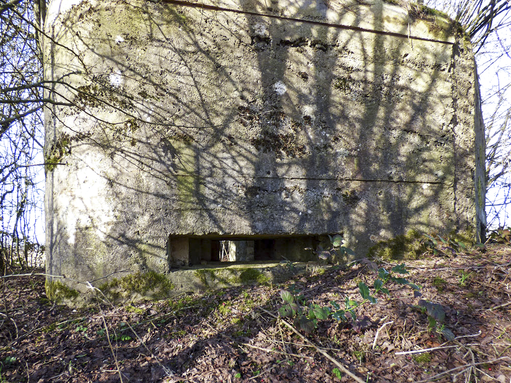 Ligne Maginot - BA102BIS - LE PAQUIS - (Blockhaus pour canon) -  - JMBrams