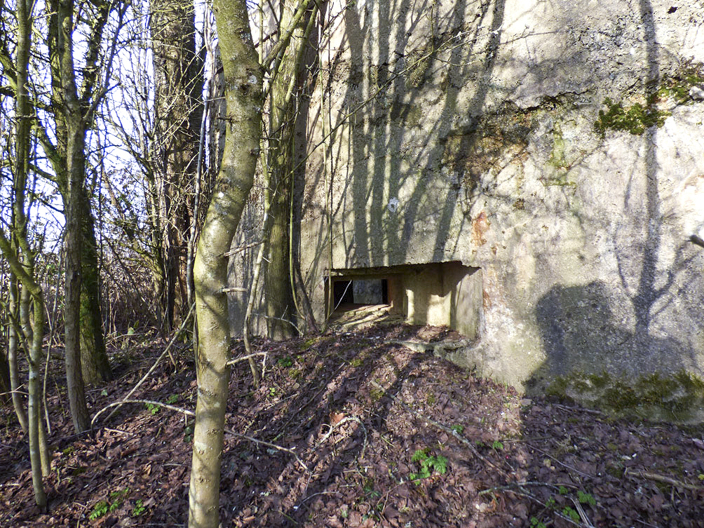 Ligne Maginot - BA102BIS - LE PAQUIS - (Blockhaus pour canon) -  - JMBrams