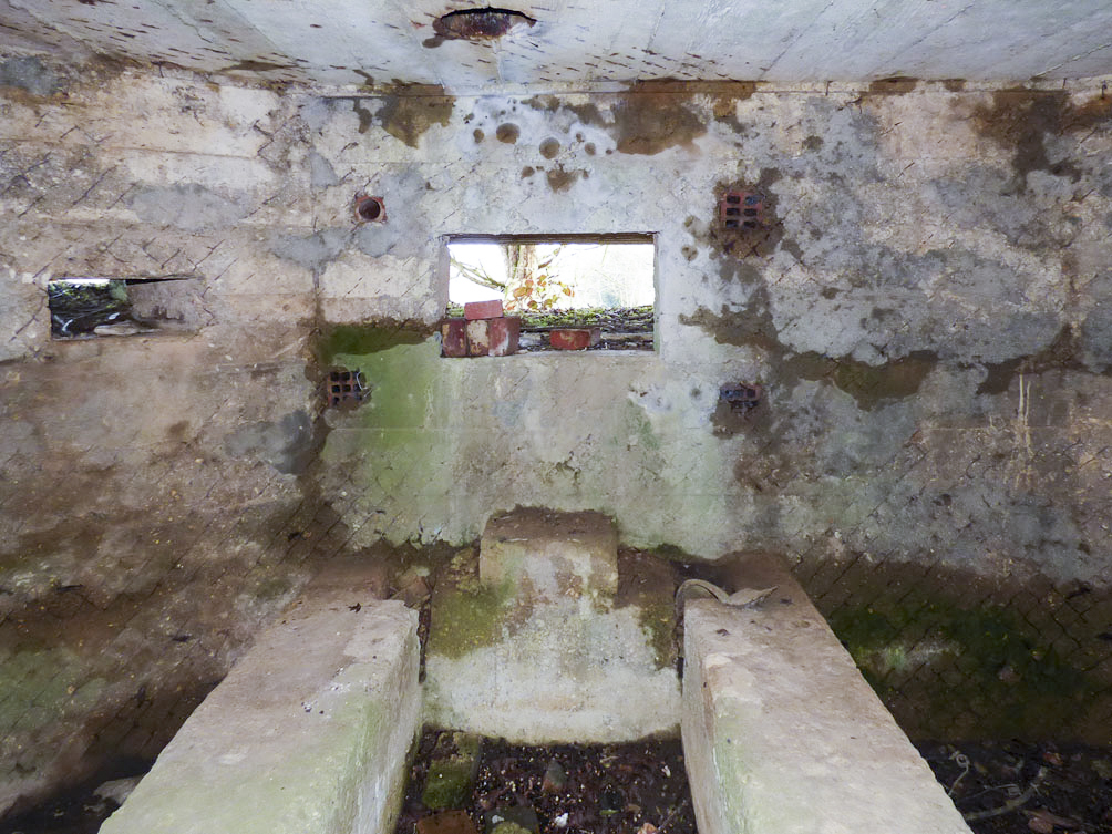 Ligne Maginot - BA102BIS - LE PAQUIS - (Blockhaus pour canon) -  - JMBrams