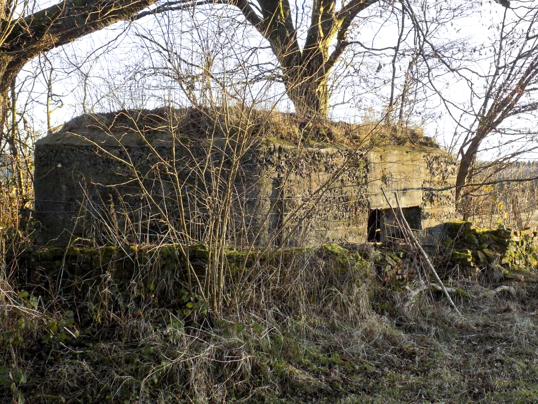Ligne Maginot - BA103 - HIRAUMONT EST - (Blockhaus pour canon) - Faces gauche et l'arrière - R Tucker