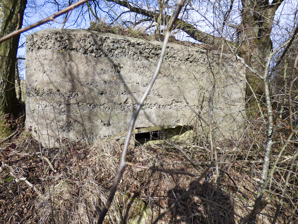 Ligne Maginot - BA103 - HIRAUMONT EST - (Blockhaus pour canon) -  - JMBrams