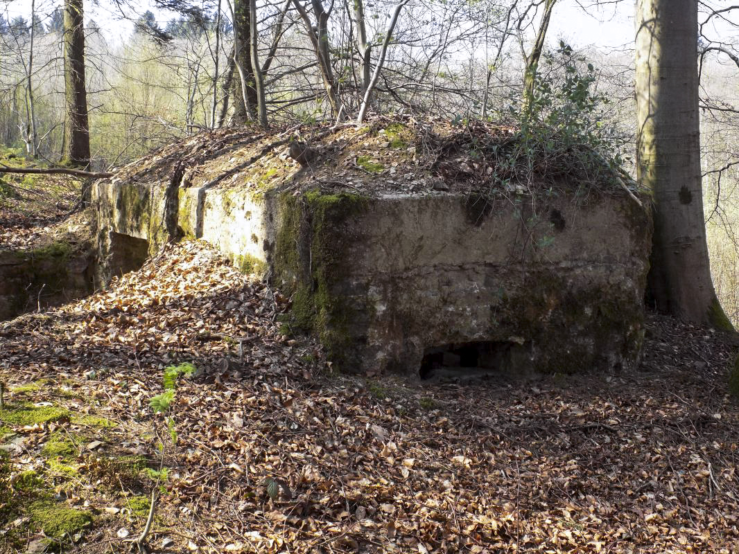 Ligne Maginot - BA105 - ROUTE DE REVIN 2 - (Blockhaus pour canon) - L'arrière et face droite créneau FM - R Tucker
