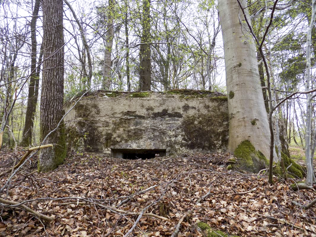 Ligne Maginot - BA105 - ROUTE DE REVIN 2 - (Blockhaus pour canon) - Face frontale droite, créneau Hotchkiss - R Tucker