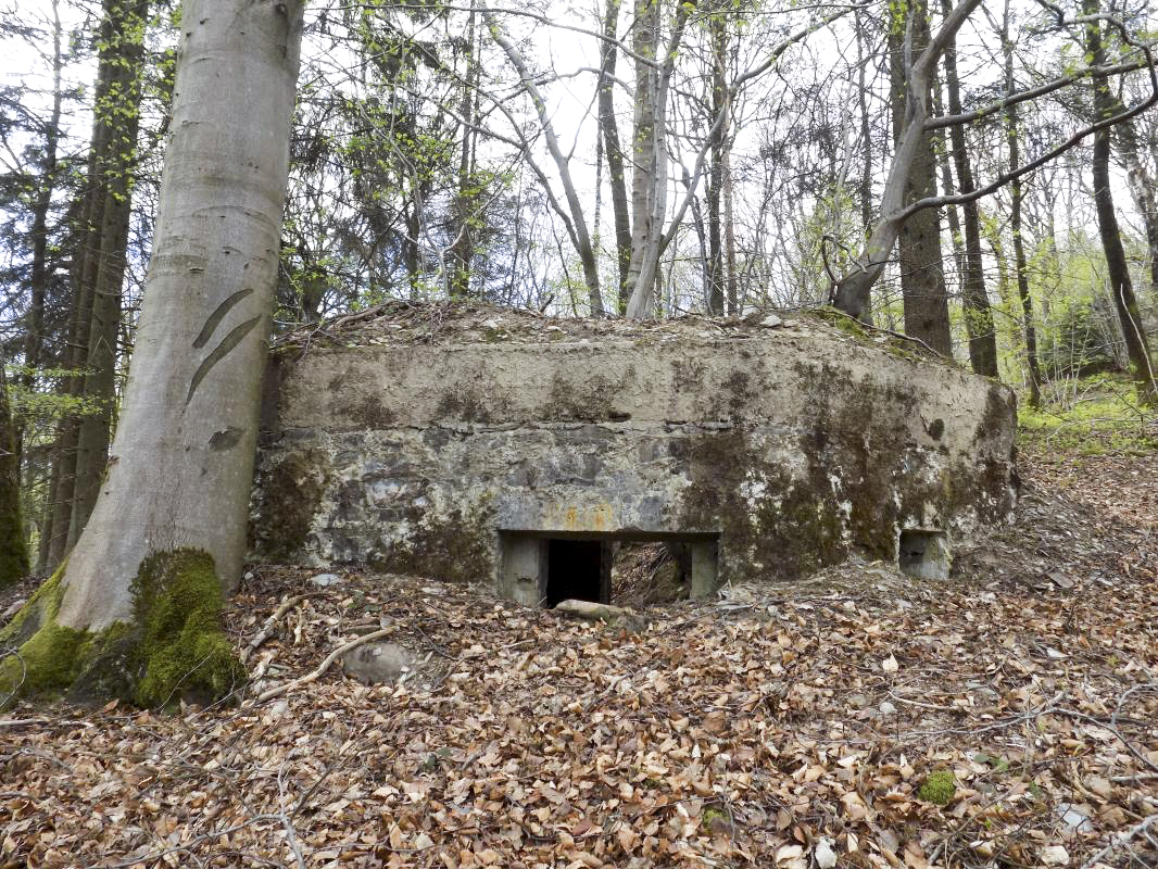 Ligne Maginot - BA105 - ROUTE DE REVIN 2 - (Blockhaus pour canon) - Face frontale créneau AC and face gauche créneau FM - R Tucker