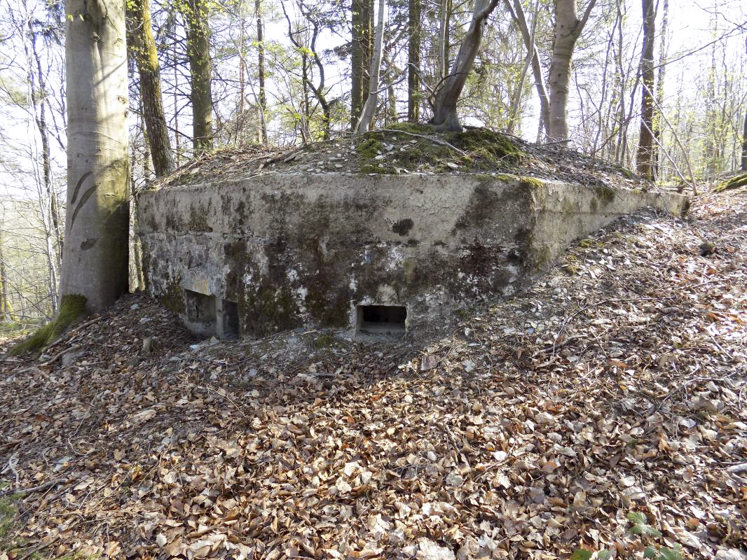 Ligne Maginot - BA105 - ROUTE DE REVIN 2 - (Blockhaus pour canon) - Face frontale gauche et face gauche - R Tucker