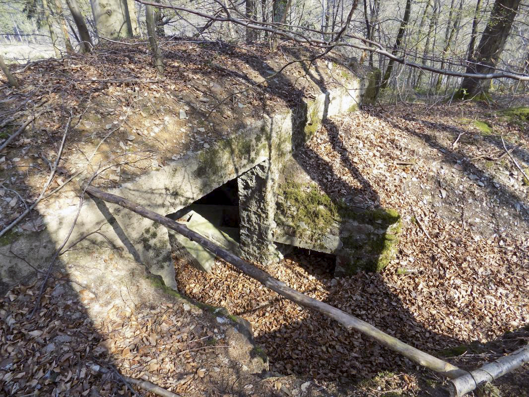 Ligne Maginot - BA105 - ROUTE DE REVIN 2 - (Blockhaus pour canon) - L'entrée - R Tucker