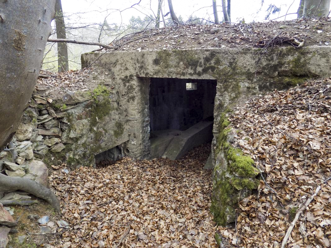 Ligne Maginot - BA105 - ROUTE DE REVIN 2 - (Blockhaus pour canon) - L'entrée - R Tucker